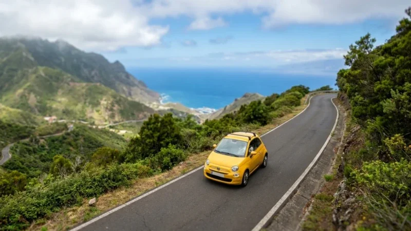 Norte de Tenerife de carro: guia do lado mais verde