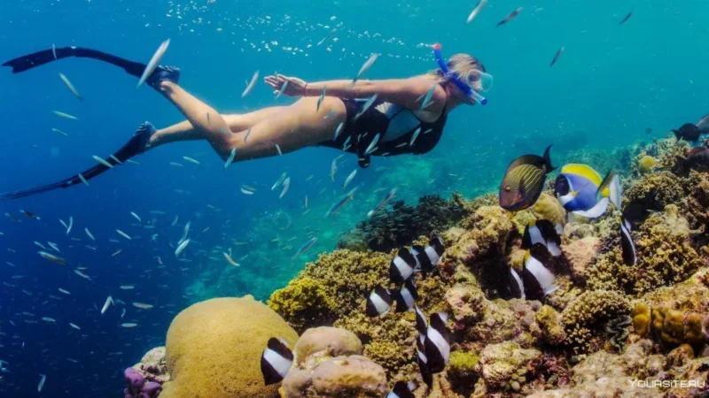 Mergulho com tubo em Tenerife: os melhores sítios